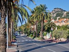 183 HYERES ET SES PALMIERS D14_000030